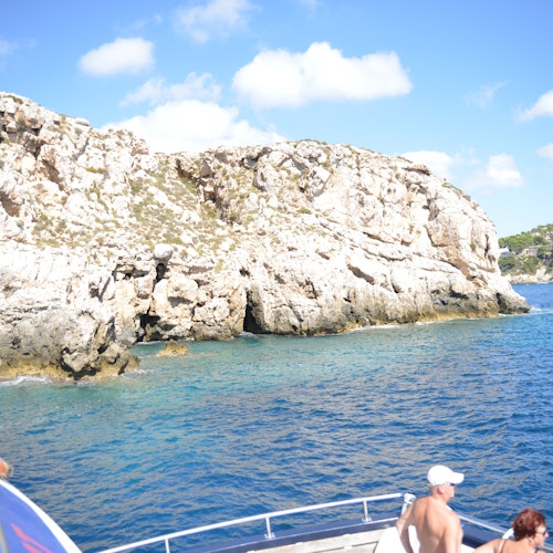 Santa Ponsa: Dolphin Watching Boat Excursion