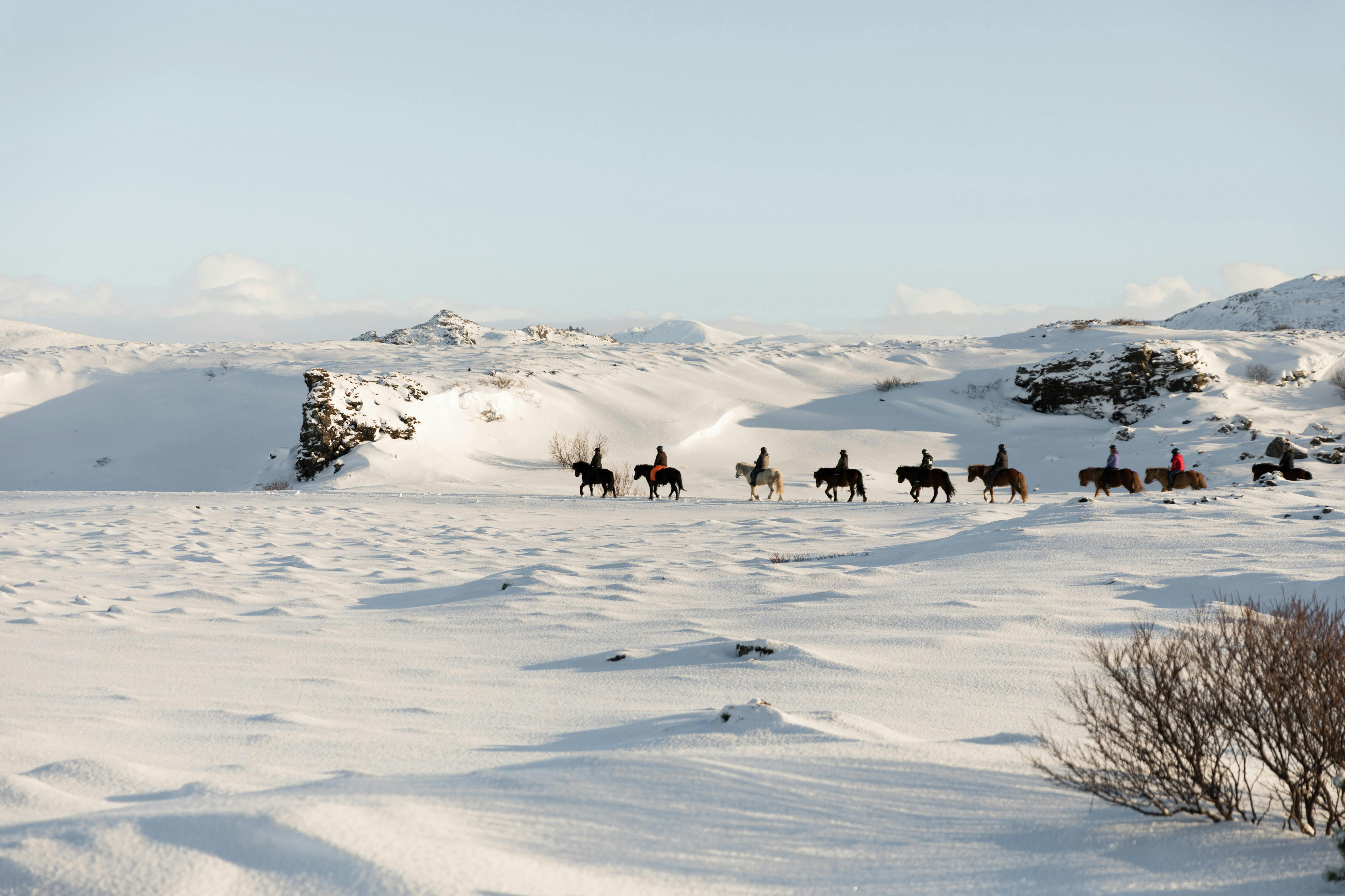 A group of people riding horses across a snow-covered landscape with distant mountains under a clear sky.