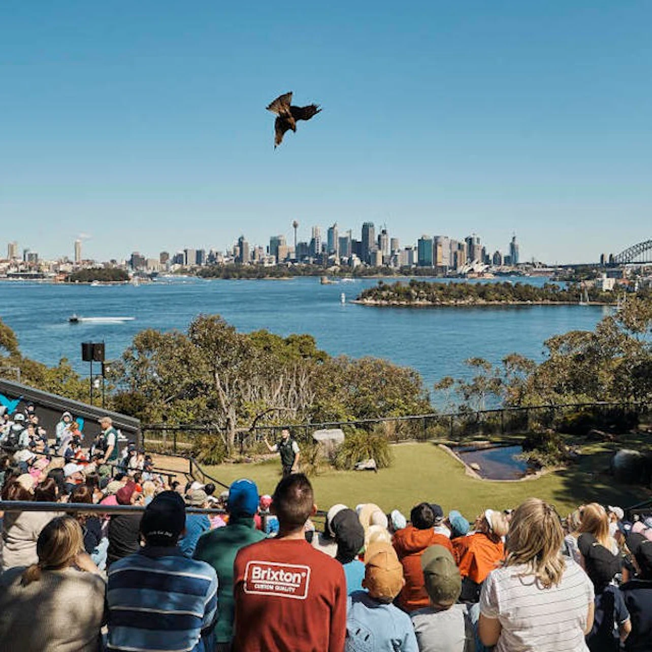Taronga Zoo Sydney: Entry Ticket in Sydney β Tiqets