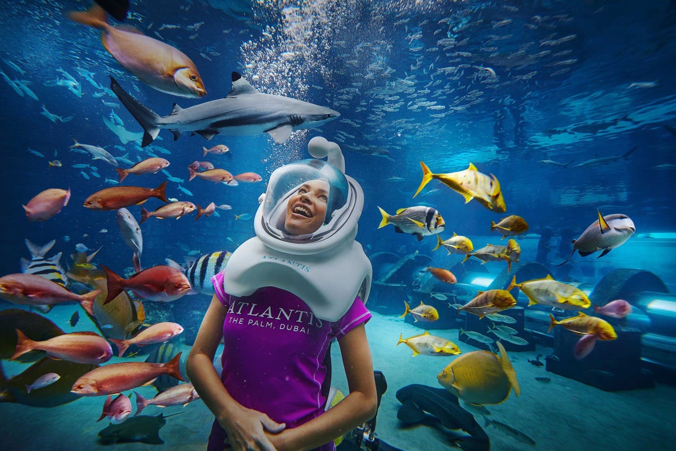 棕榈岛亚特兰蒂斯酒店 - 水上之旅