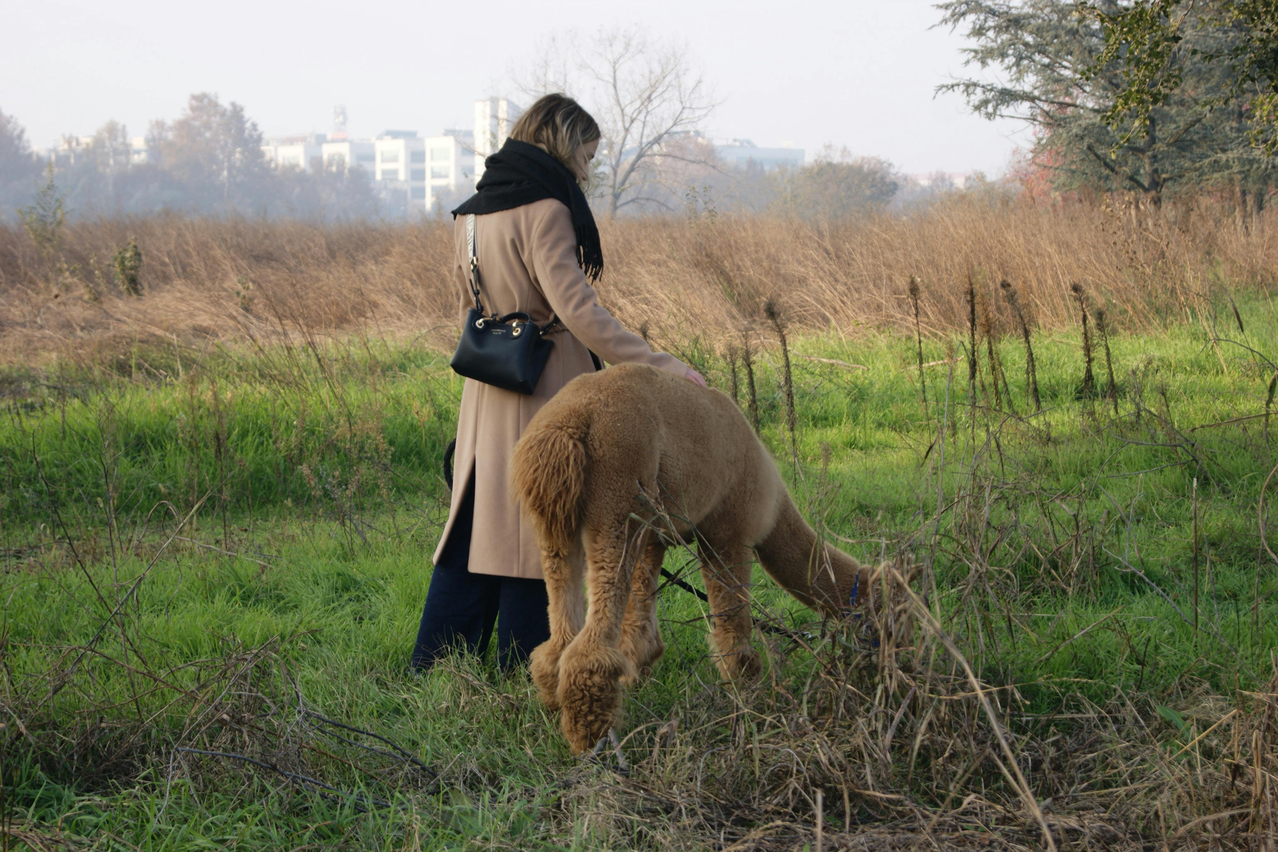 Turin Wildlife Watching: Guided Walking Tour - Photo 13