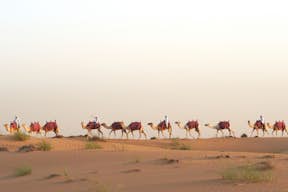 Patrimoine platine : safari en Land Rover ou en caravane de chameaux