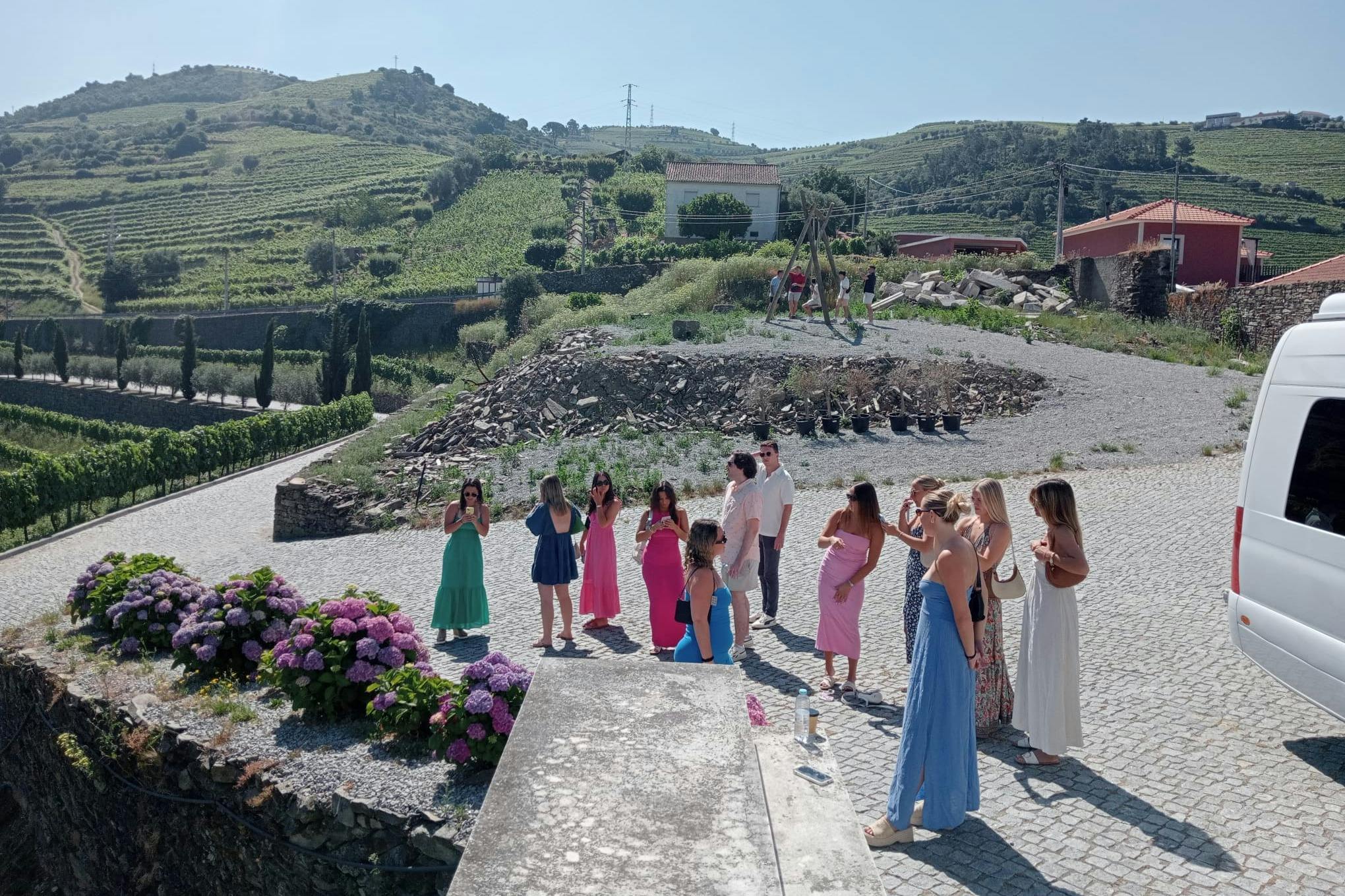 Guidet besøg i vinmarkerne