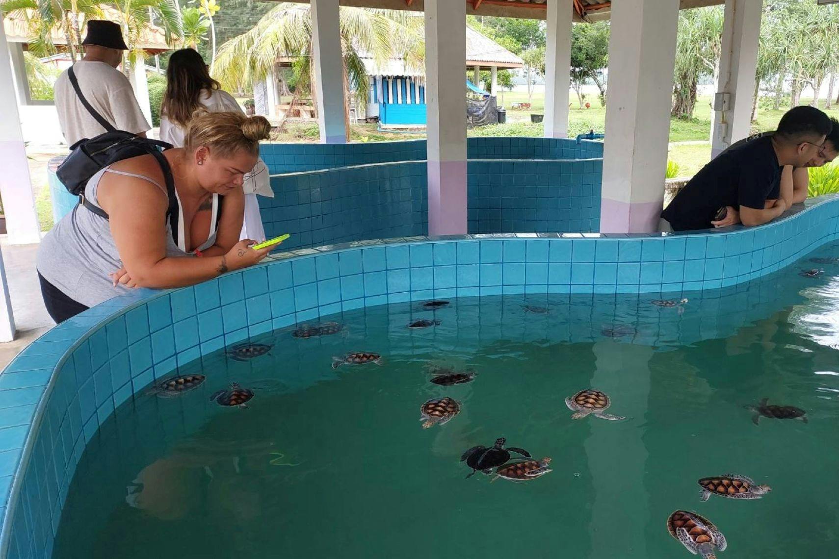 A woman leans over a blue-tiled pool observing small turtles swimming inside, with people and palm trees in the background.
