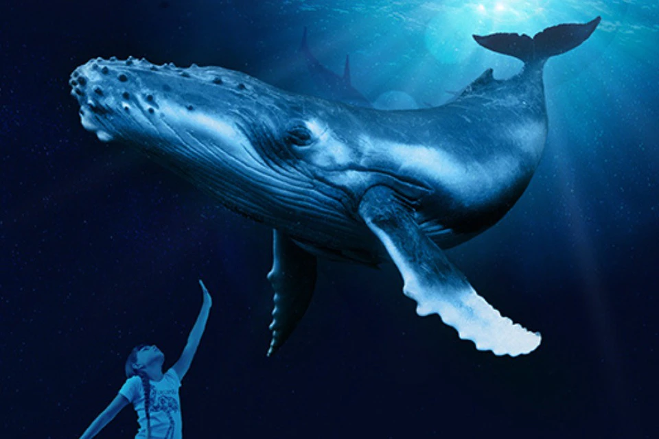 3D Cinema Aquadome
