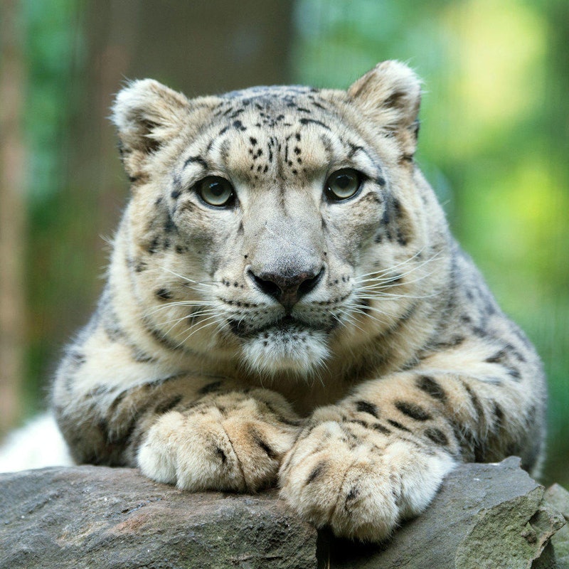 Central Park Zoo in New York, New York City