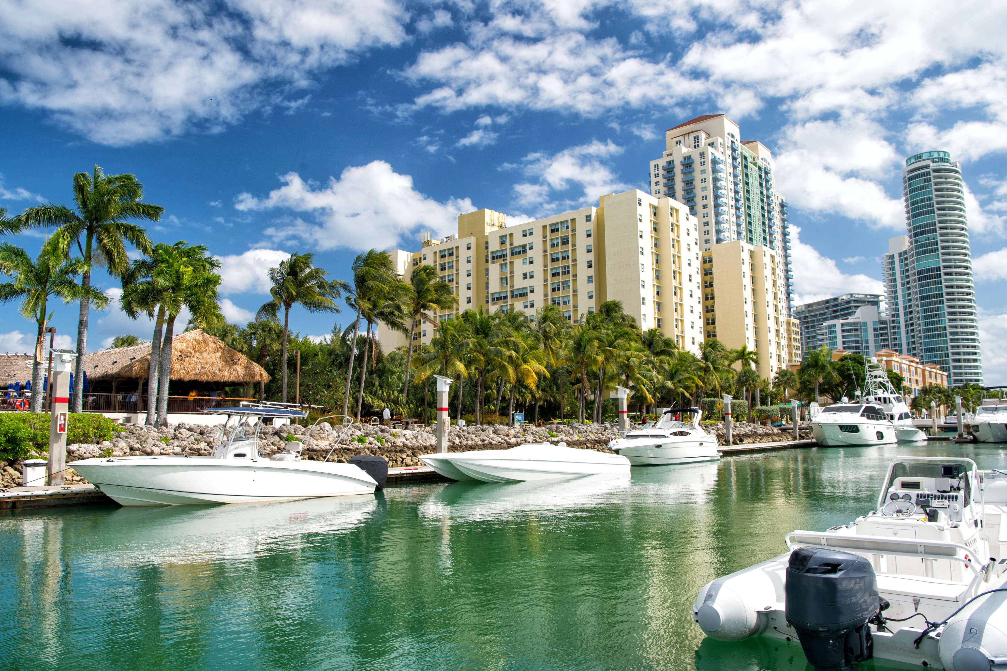 Miami: Guided City Tour + Biscayne Bay Cruise + Dolphin Mall Visit + Transfers