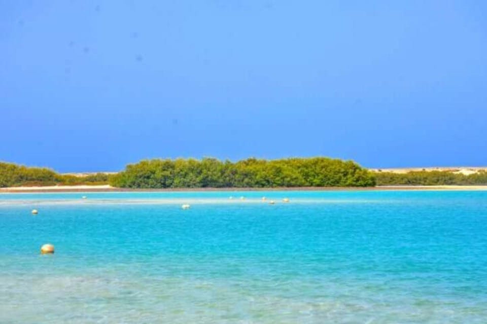 Parc national de Wady El Gemal