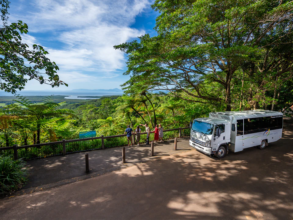 Four people stand at a lookout point with a scenic view of a lush forest and distant water. A white truck is parked nearby.