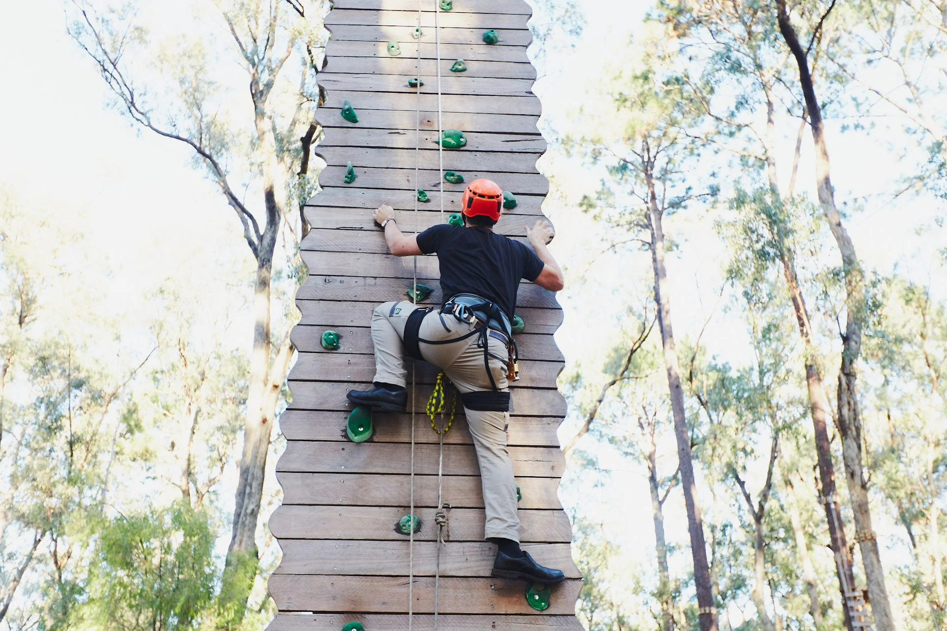 The climbing wall