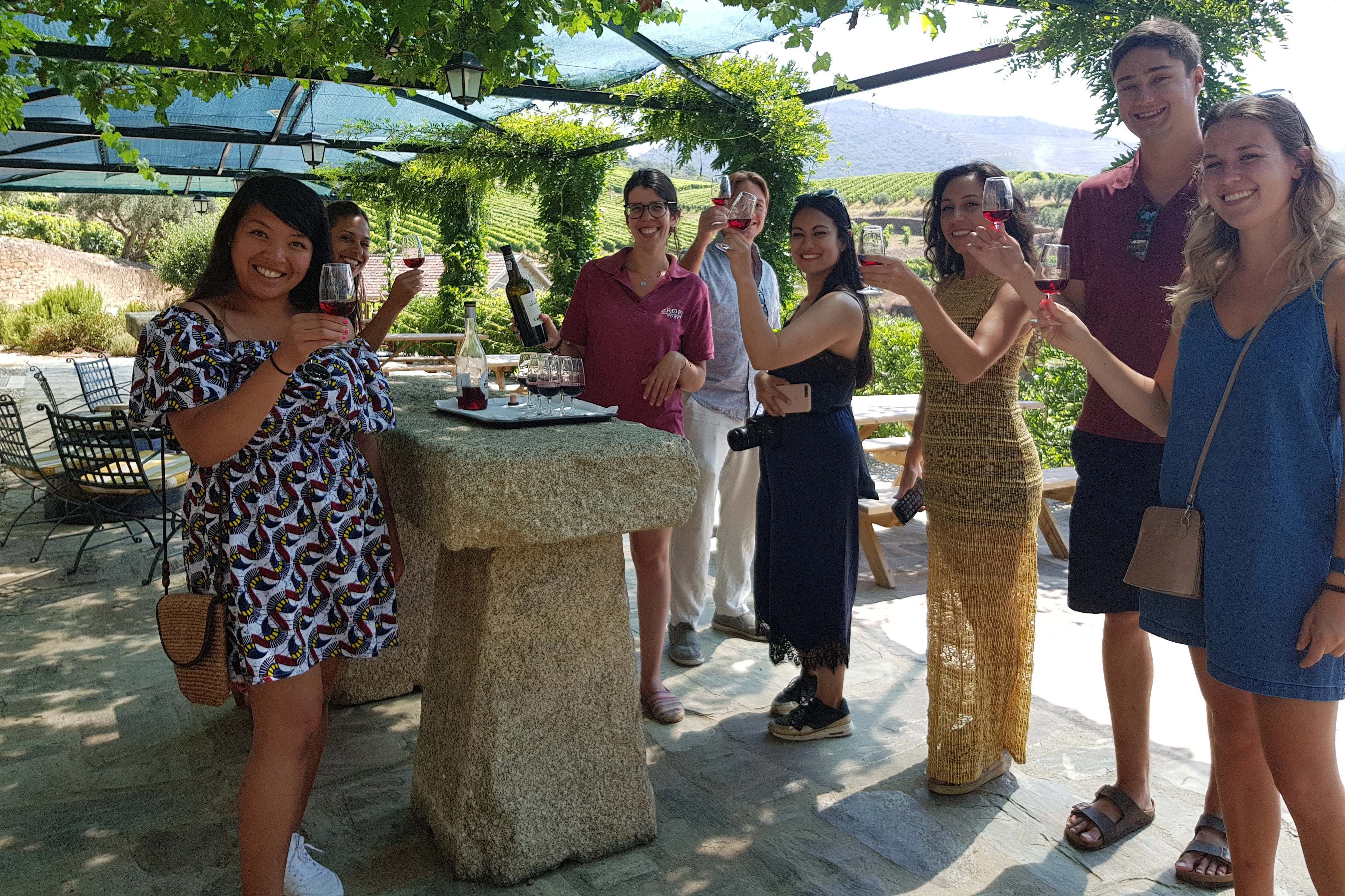 Douro Valley: Wine Tour + Lunch from Porto