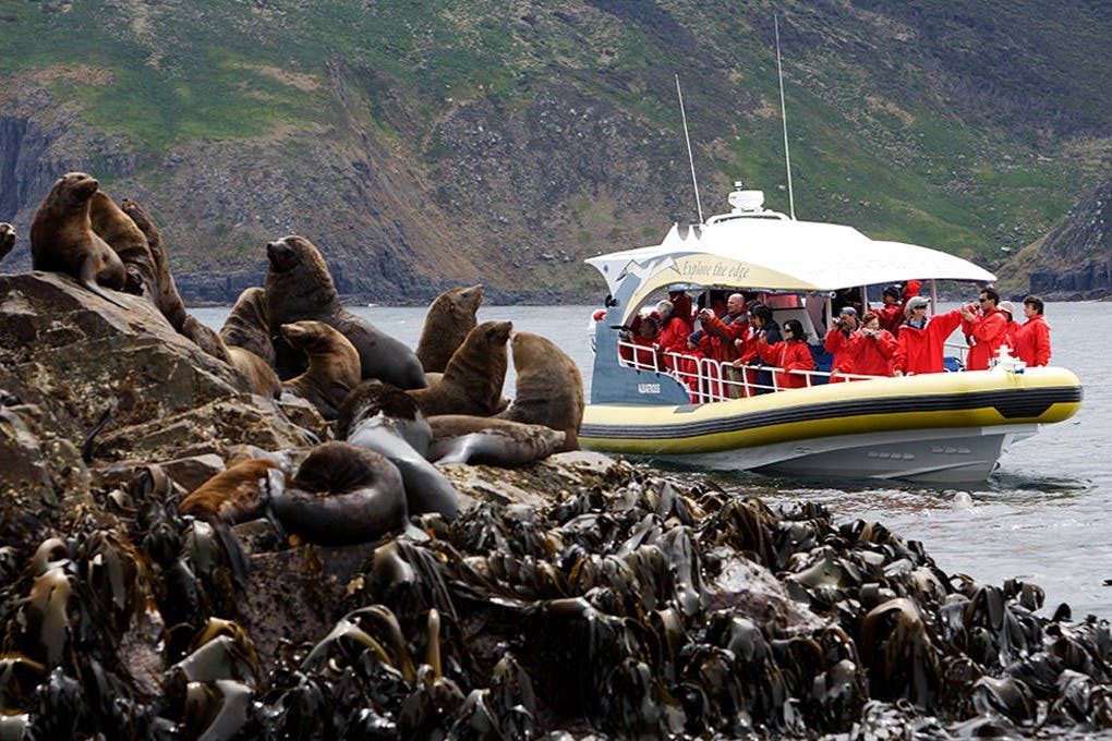 Bruny Island: Guided Bus Tour From Hobart + Cruise + Lunch - Photo 5