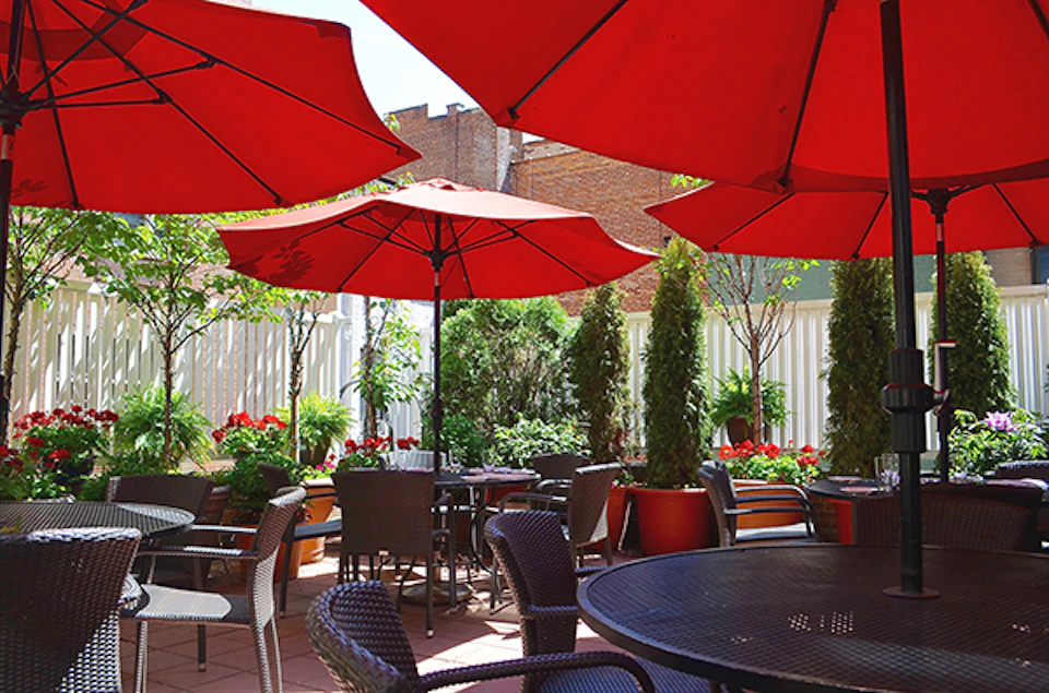 Outdoor patio with red umbrellas, wicker chairs, and tables. Green plants and tall shrubs provide a lush background.