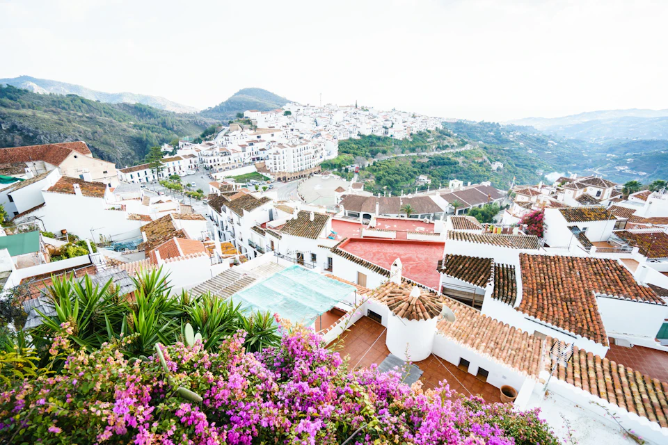 A hillside town with white buildings and terracotta roofs, surrounded by lush greenery and blooming pink flowers in the foreground.