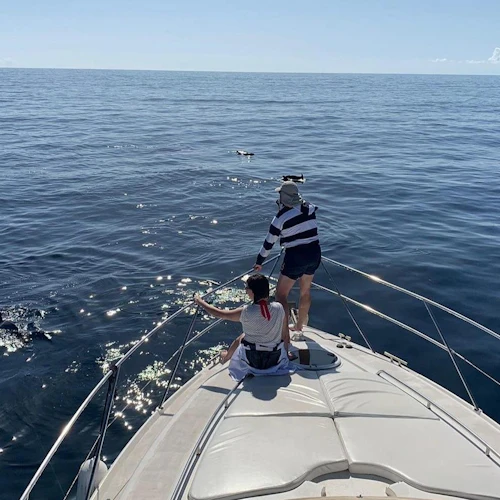 Puerto de Mogan: Excursão de 4 horas para observação de golfinhos por Keeper Uno - Photo 2