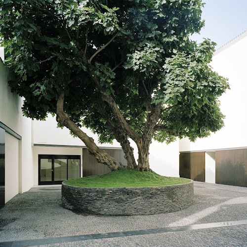 Museo Picasso Málaga: Guided Tour Museo Picasso Málaga: Guided Tour