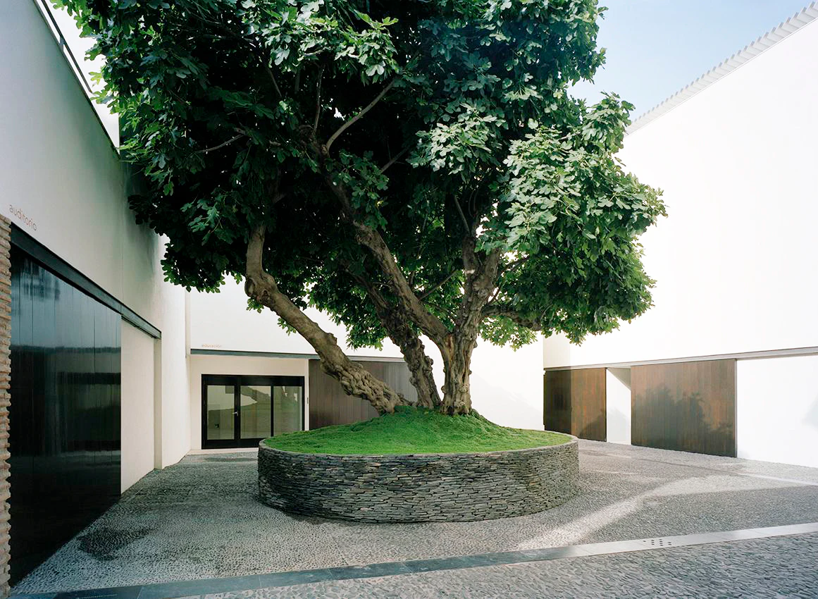 Museo Picasso Málaga: Guided Tour