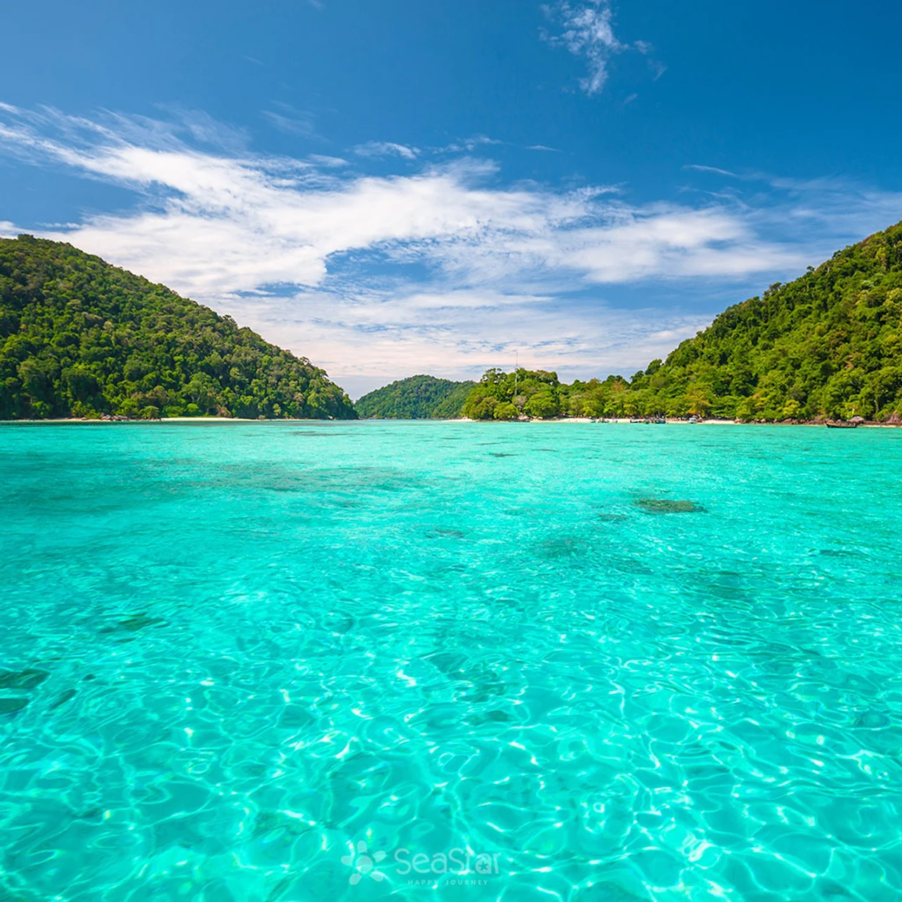 Dive into the Andaman Sea with the exciting Surin Islands Snorkeling Trip from Phuket.