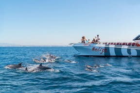 Dolfijnen & Catamaran
