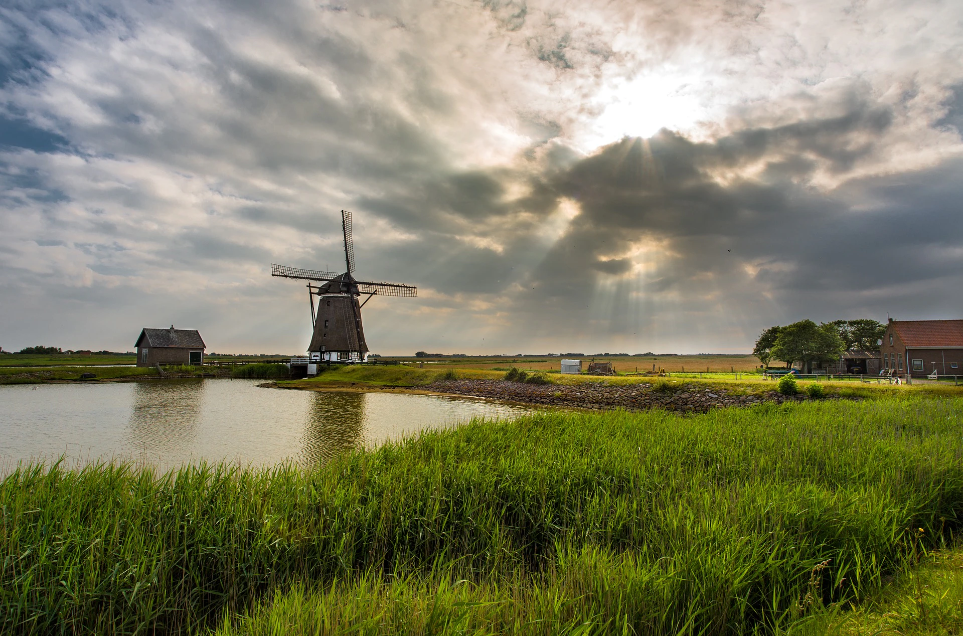 Lisse: Windmill Cruise from Warmond