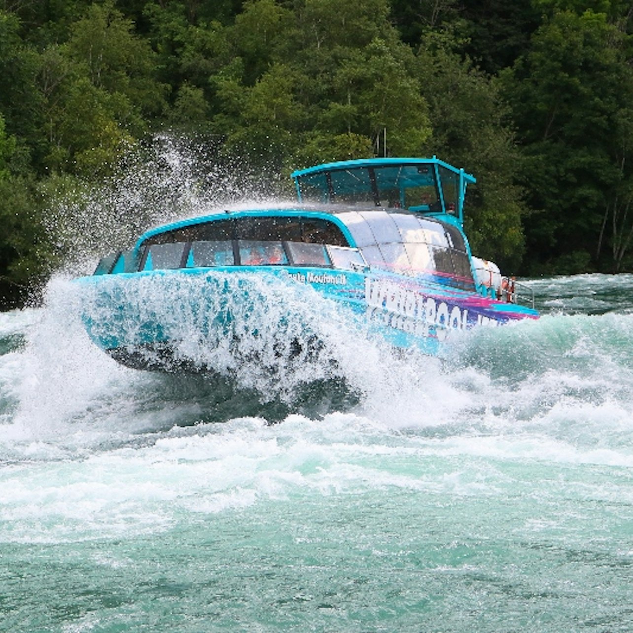 Whirlpool Jet Boat Tours en Niagara Falls - Alojamientos en Cataratas del Niágara