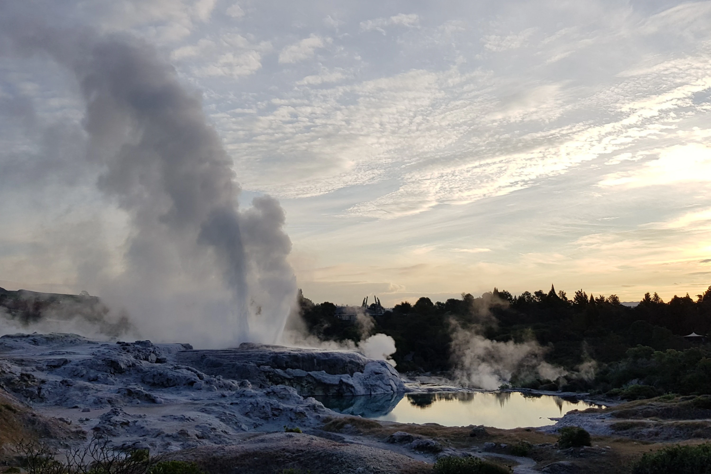 Whakarewarewa Village: Self-Guided Geothermal Trails Experience