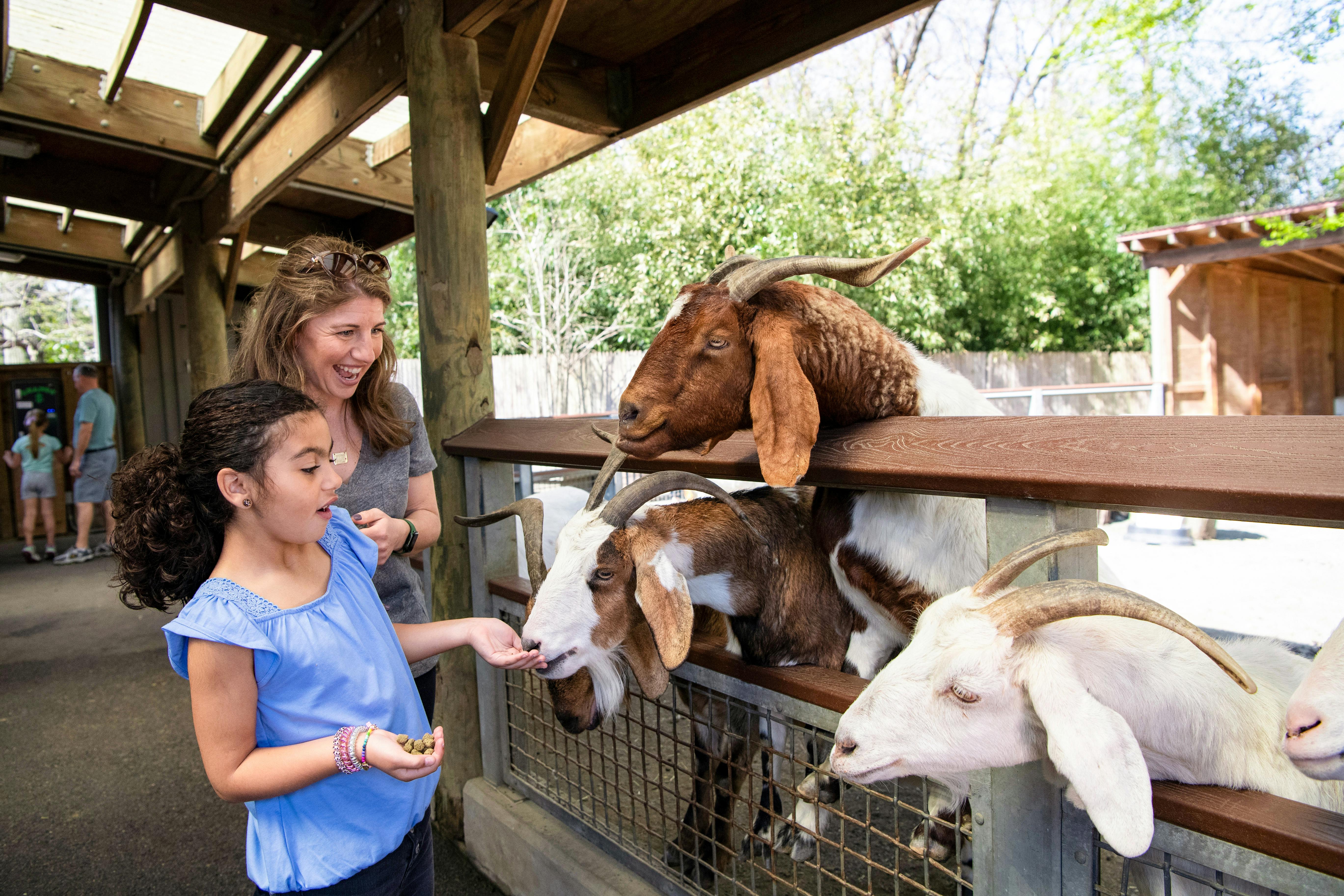 Zoológico del Bronx: Entradas