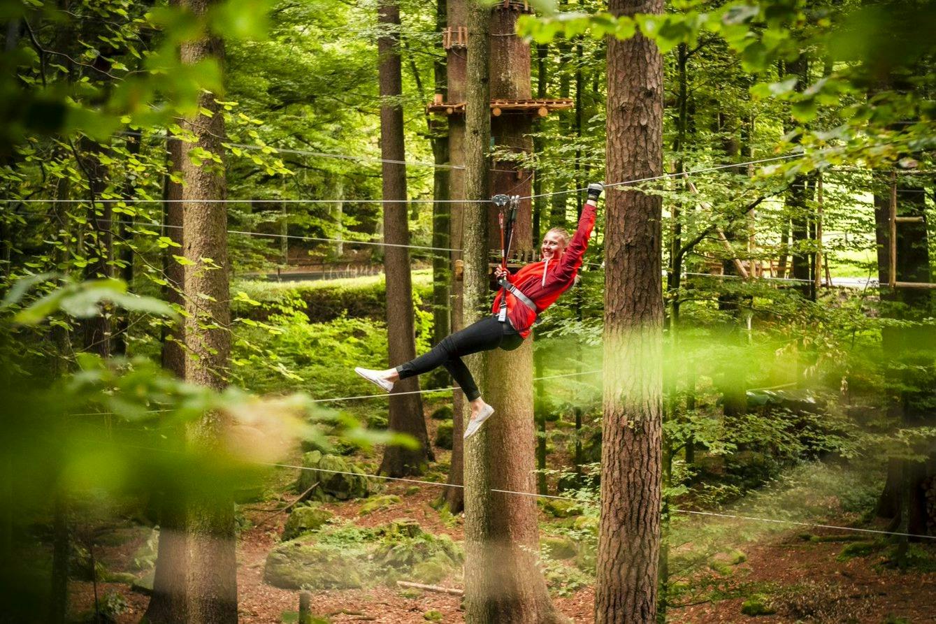 Outdoor Ropes Park: Interlaken Tickets | Tiqets