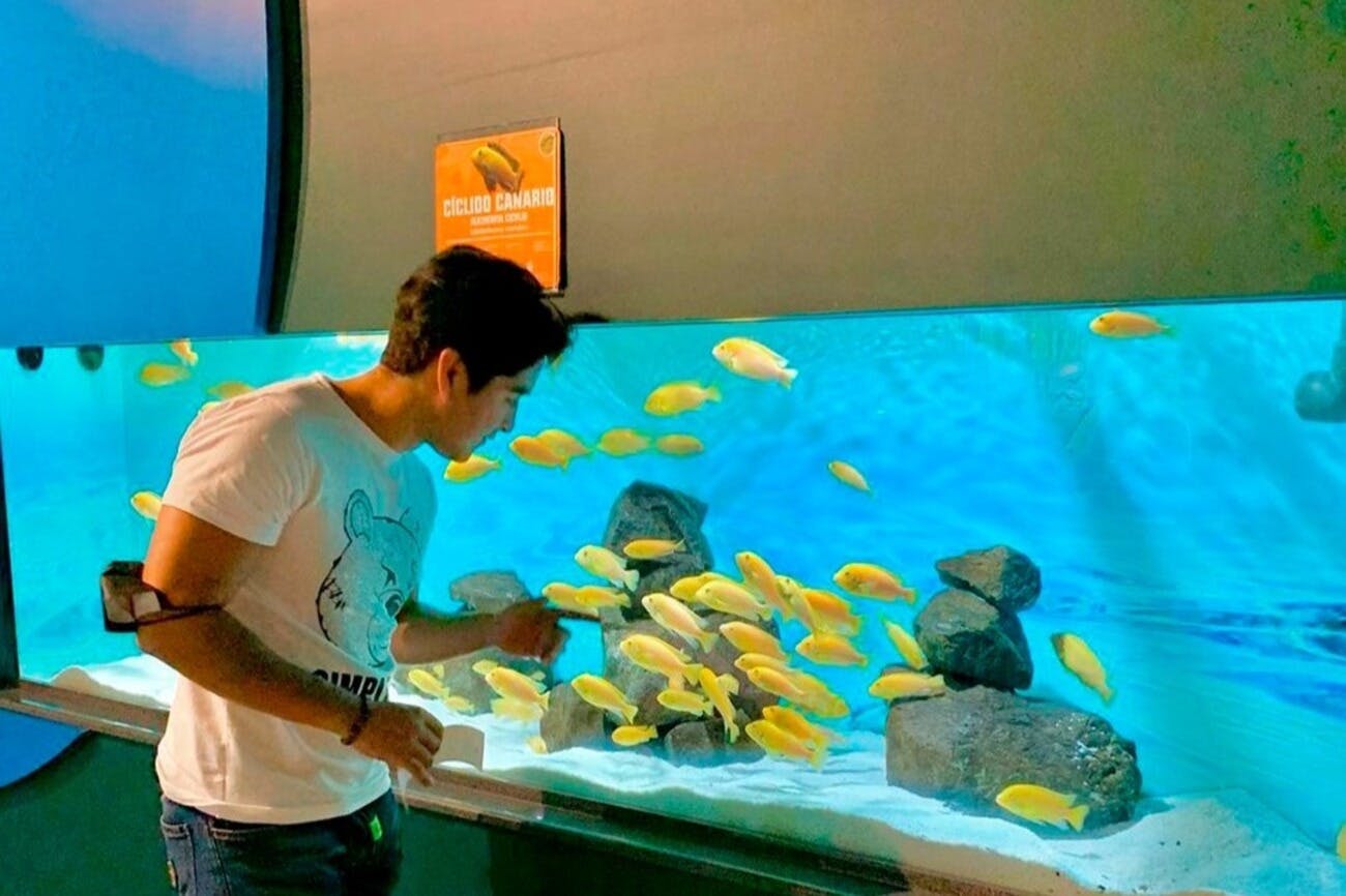 Michin Aquarium Puebla