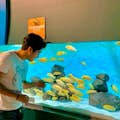 Michin Aquarium Puebla