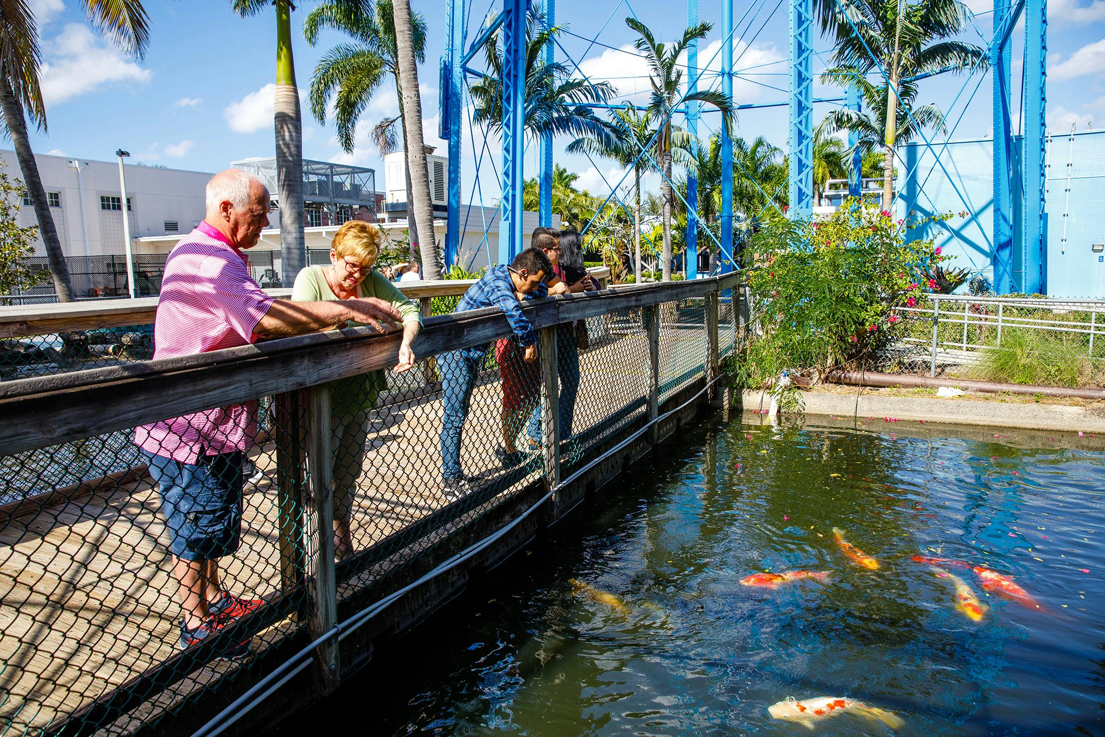 Τέσσερα άτομα, συμπεριλαμβανομένου ενός παιδιού, γέρνουν πάνω από έναν φράχτη παρακολουθώντας πολύχρωμα ψάρια koi σε μια λίμνη σε ένα υπαίθριο περιβάλλον με φοίνικες.