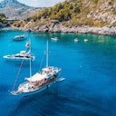 Argo Daily Cruises