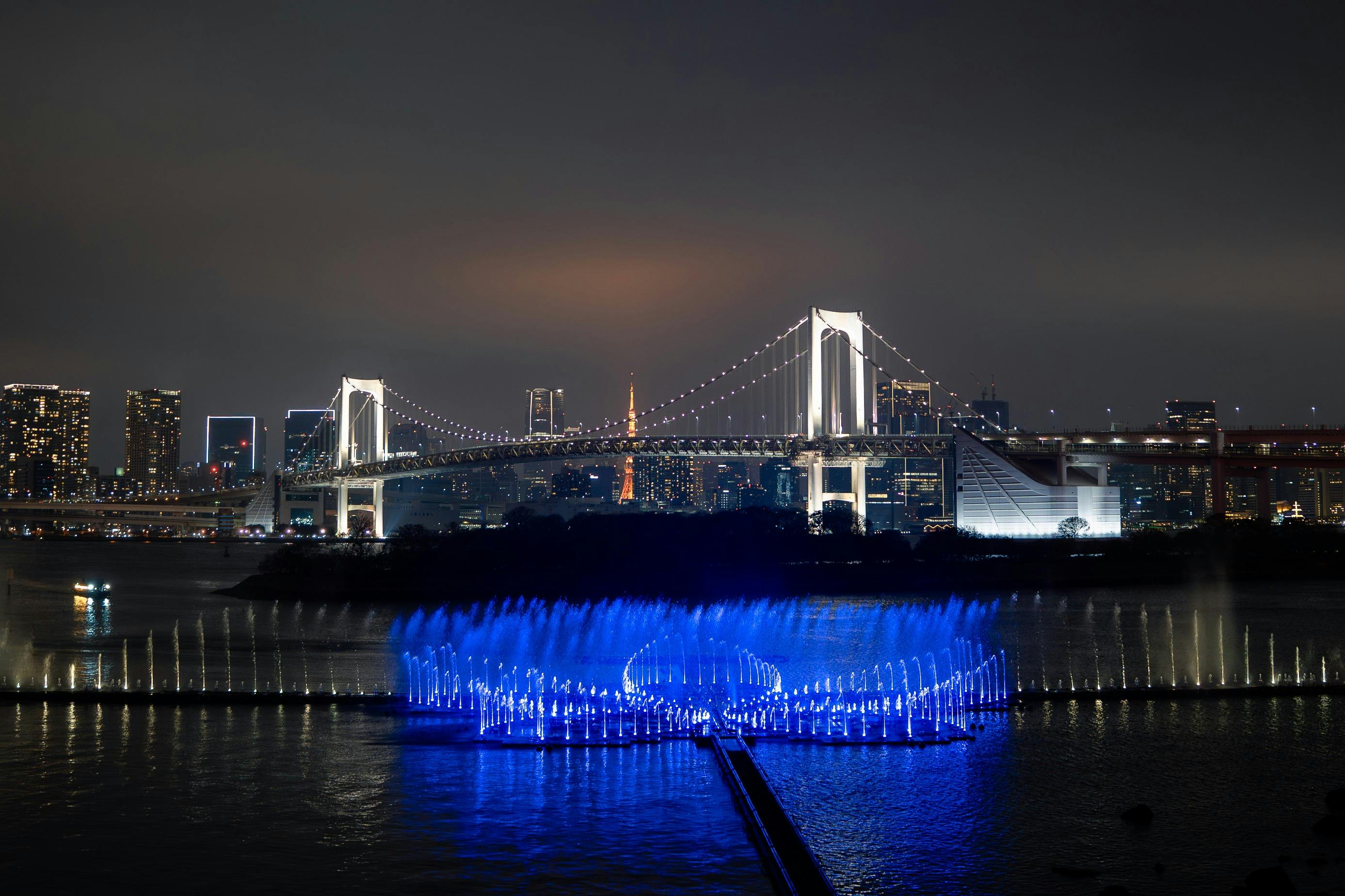 Baia di Tokyo: Tour Yakatabune in barca + spettacolo dal vivo + pasto — 2