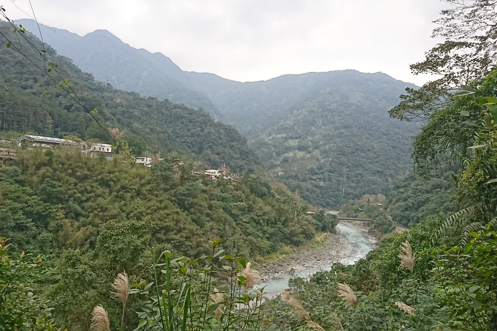 Neidong Forest Recreation Area: Full-Price Entry Ticket