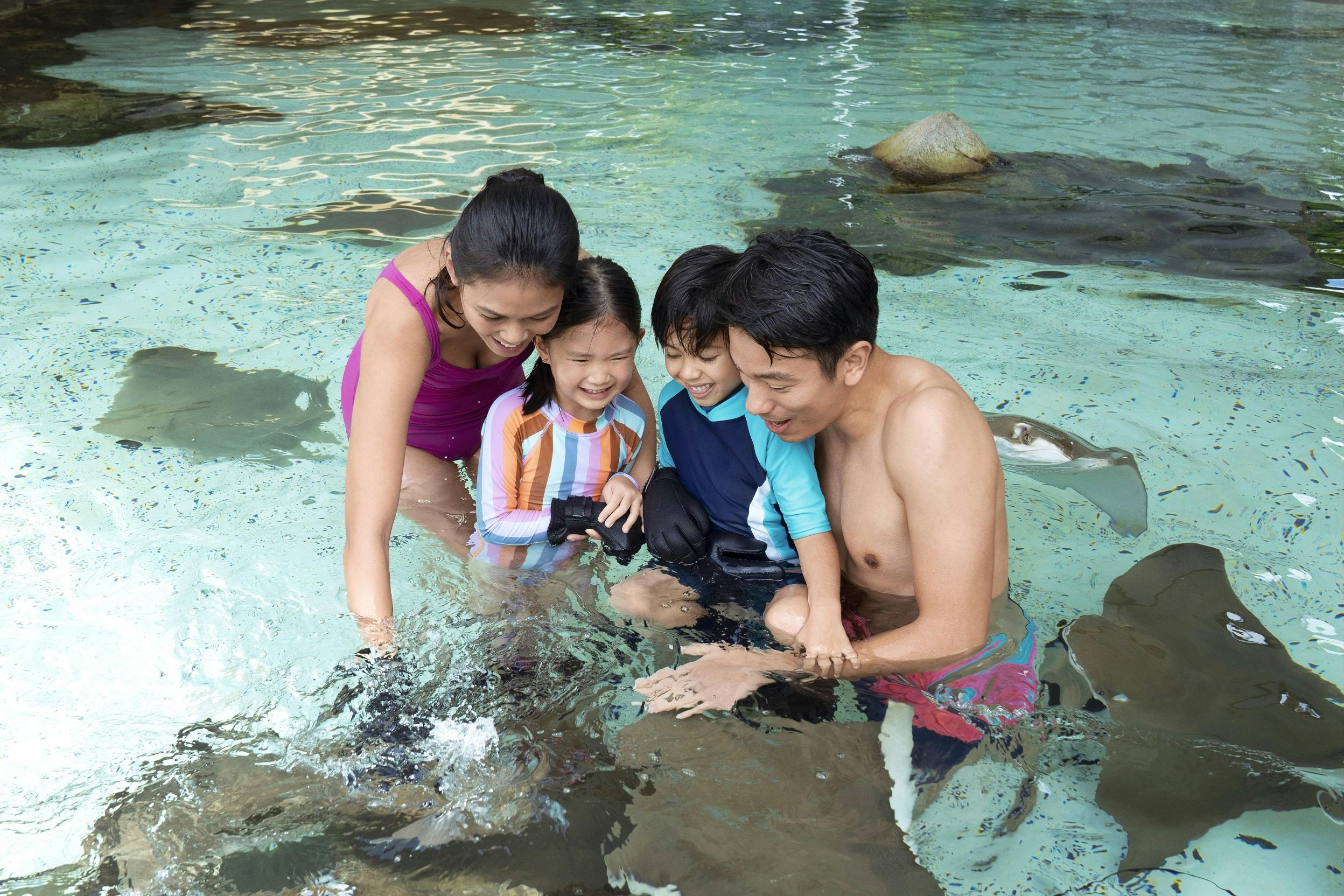 A family of four, including two children, interact with aquatic life in shallow, clear water while smiling and having fun.