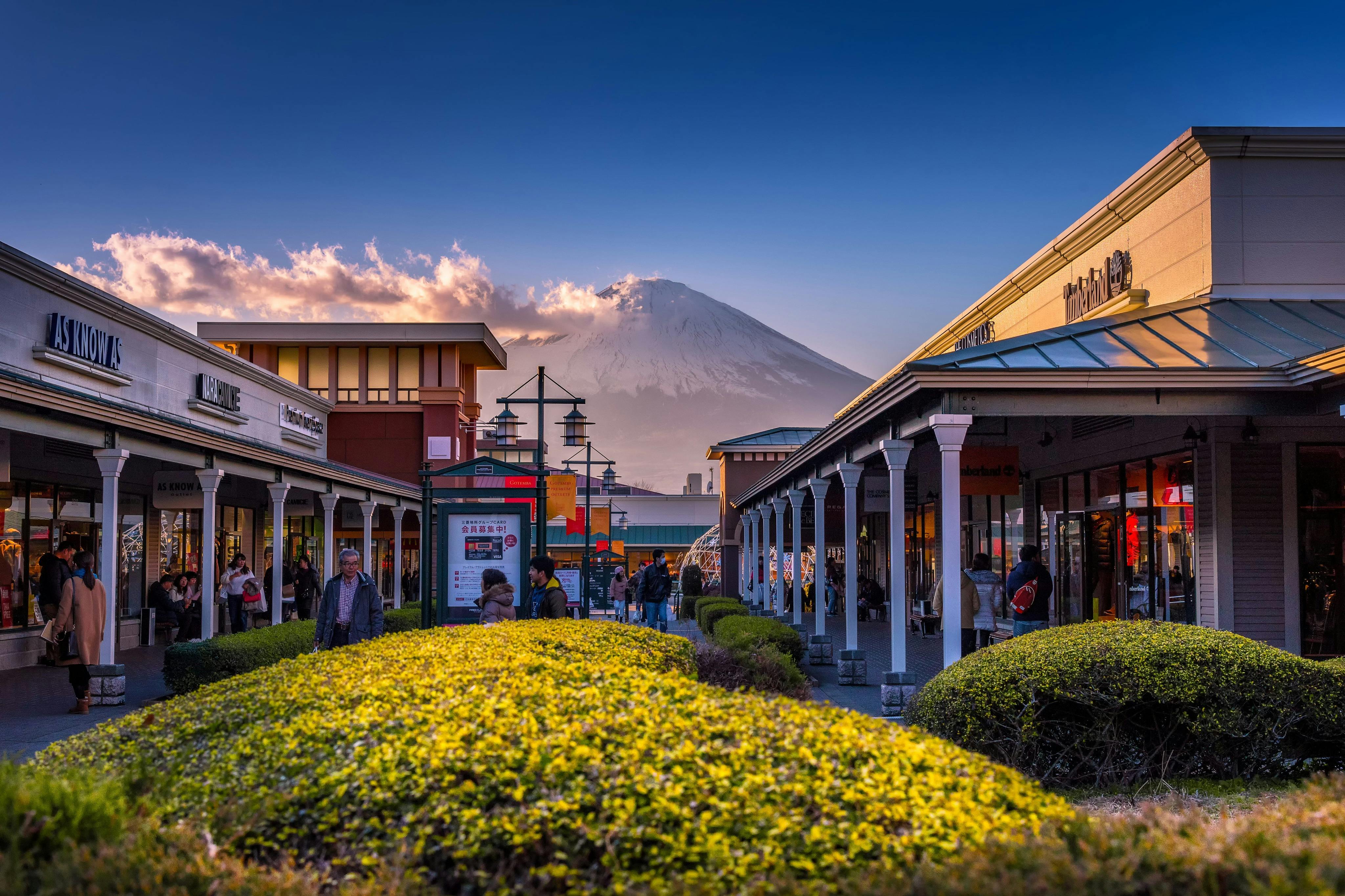 Monte Fuji e Gotemba Premium Outlets: Visita guiada de um dia a partir de Tóquio + Cerimónia do Chá - Photo 4
