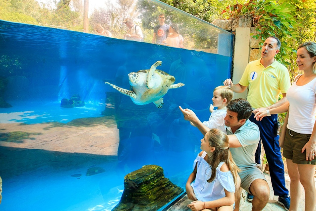 Palma Aquarium + 3D Cinema Aquadome Skip the Line - Accommodations in Palma de Mallorca