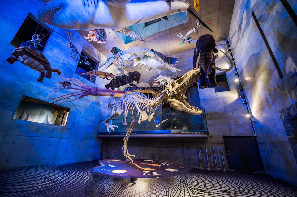 A museum exhibit featuring suspended skeletons of prehistoric animals, including a large reptile and a mammoth.