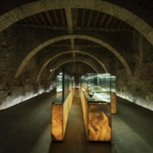 Museum of Brunello and Wine Tasting - Photo 4