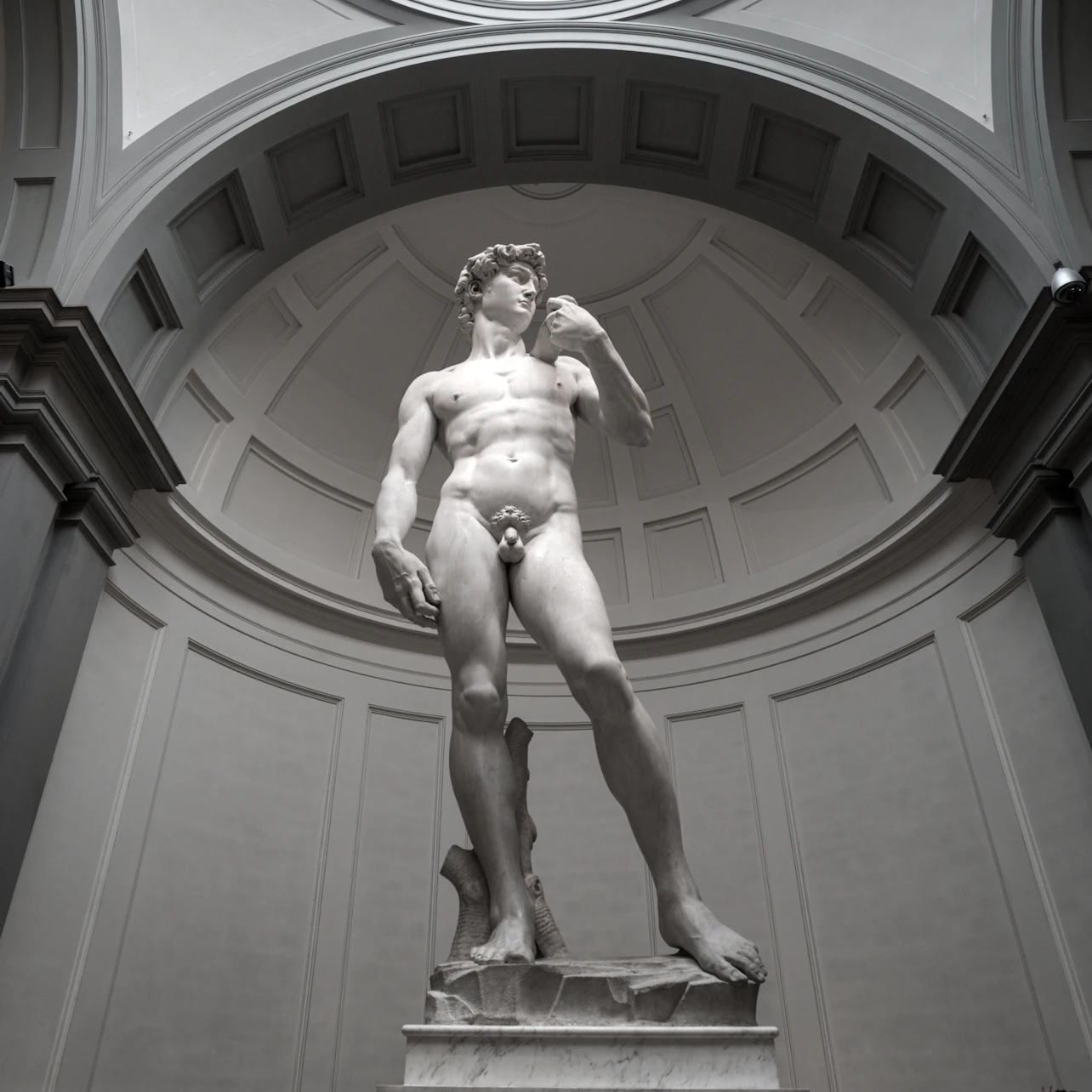 Accademia Gallery: Priority Entry Ticket in Florence β Tiqets