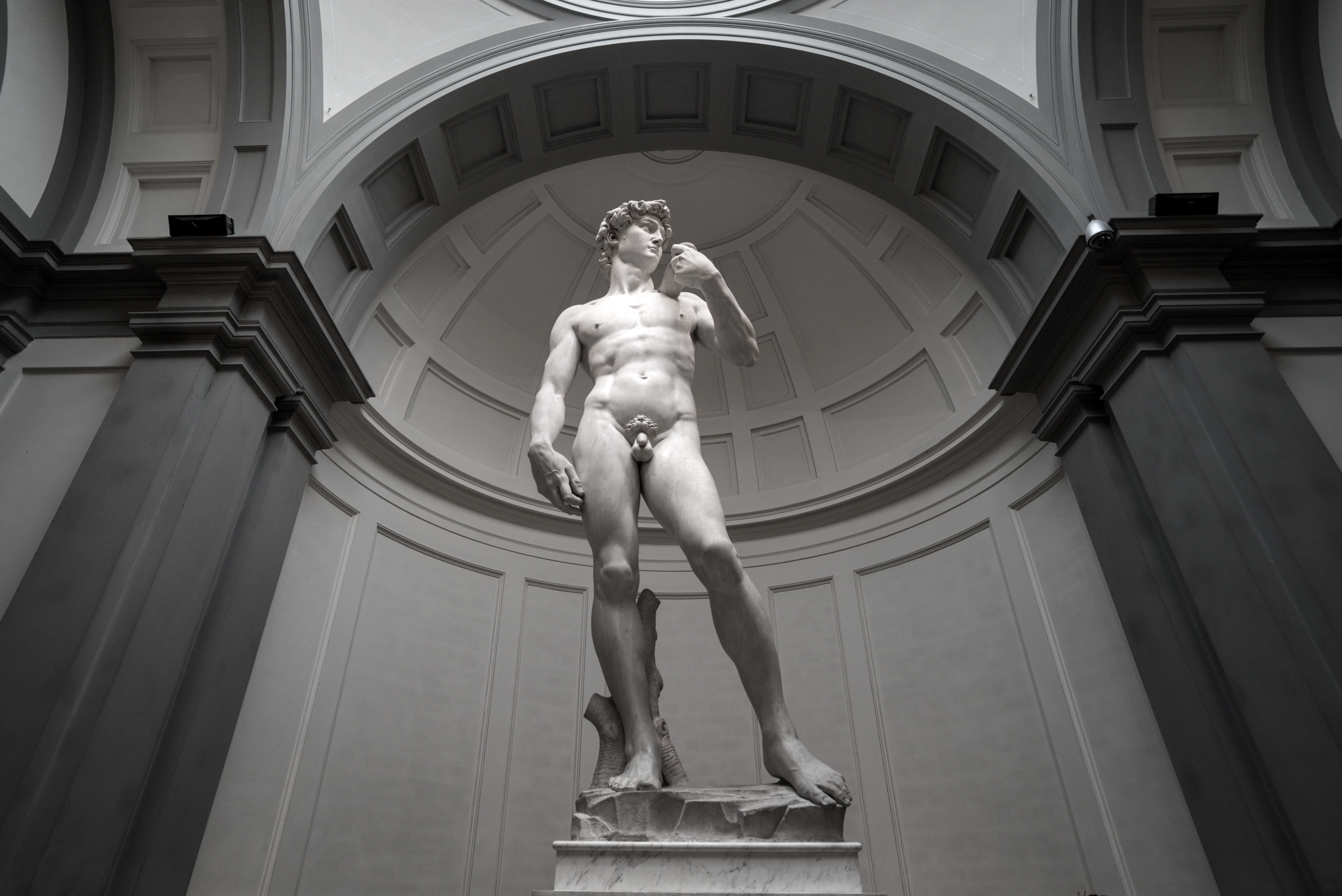 Accademia Gallery: Priority Entry Ticket