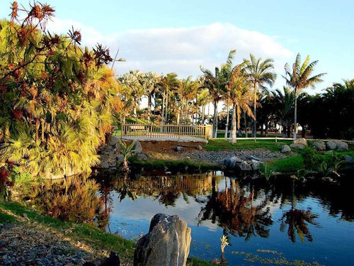 Palmetum de Santa Cruz de Tenerife: Entrada