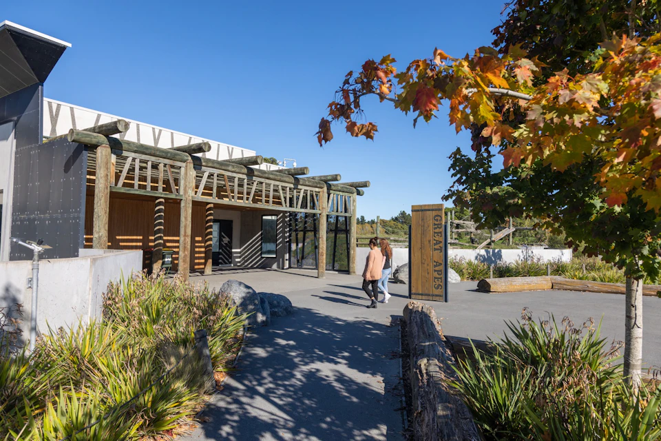 Two people walking toward a building labeled 'Great Apes,' surrounded by greenery and trees under a clear blue sky.