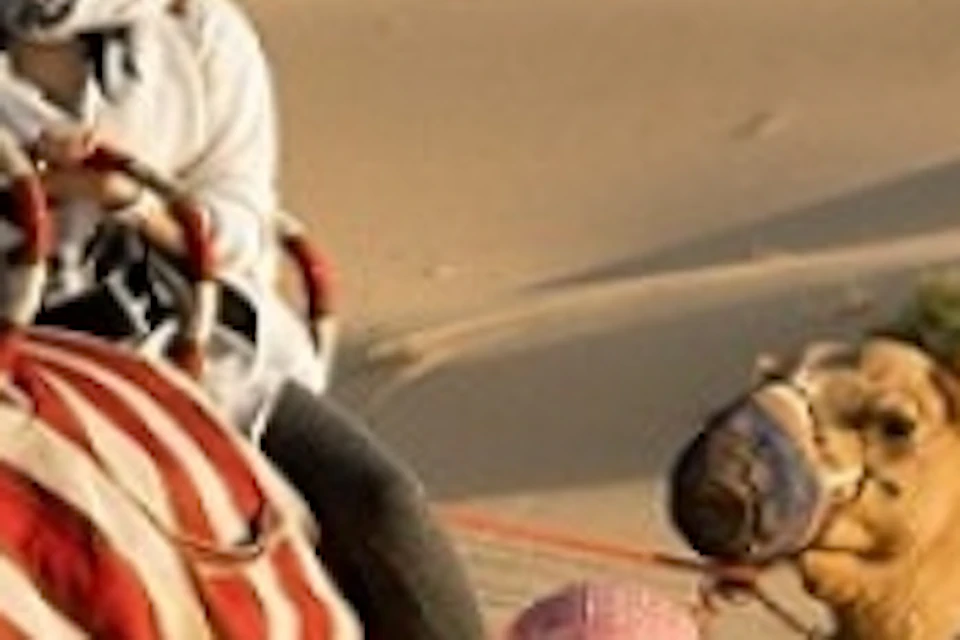 Two people riding camels with red and white striped blankets, led by a man in white robes, in a sandy desert setting.