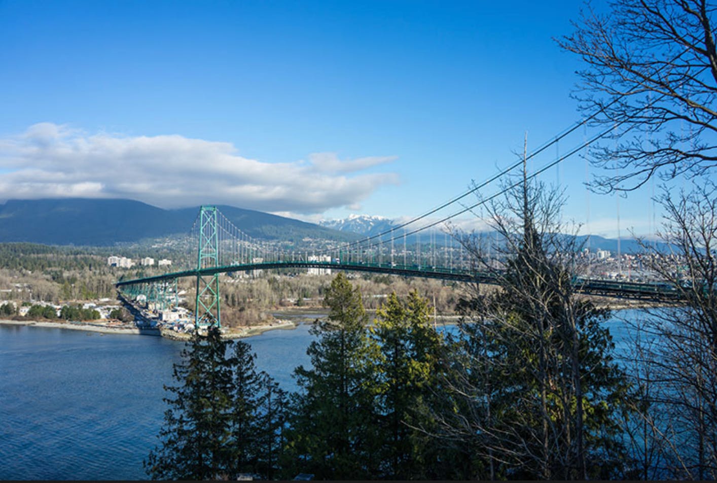 North Vancouver: Guided Tour with Entry to Grouse Mountain and MONOVA 3