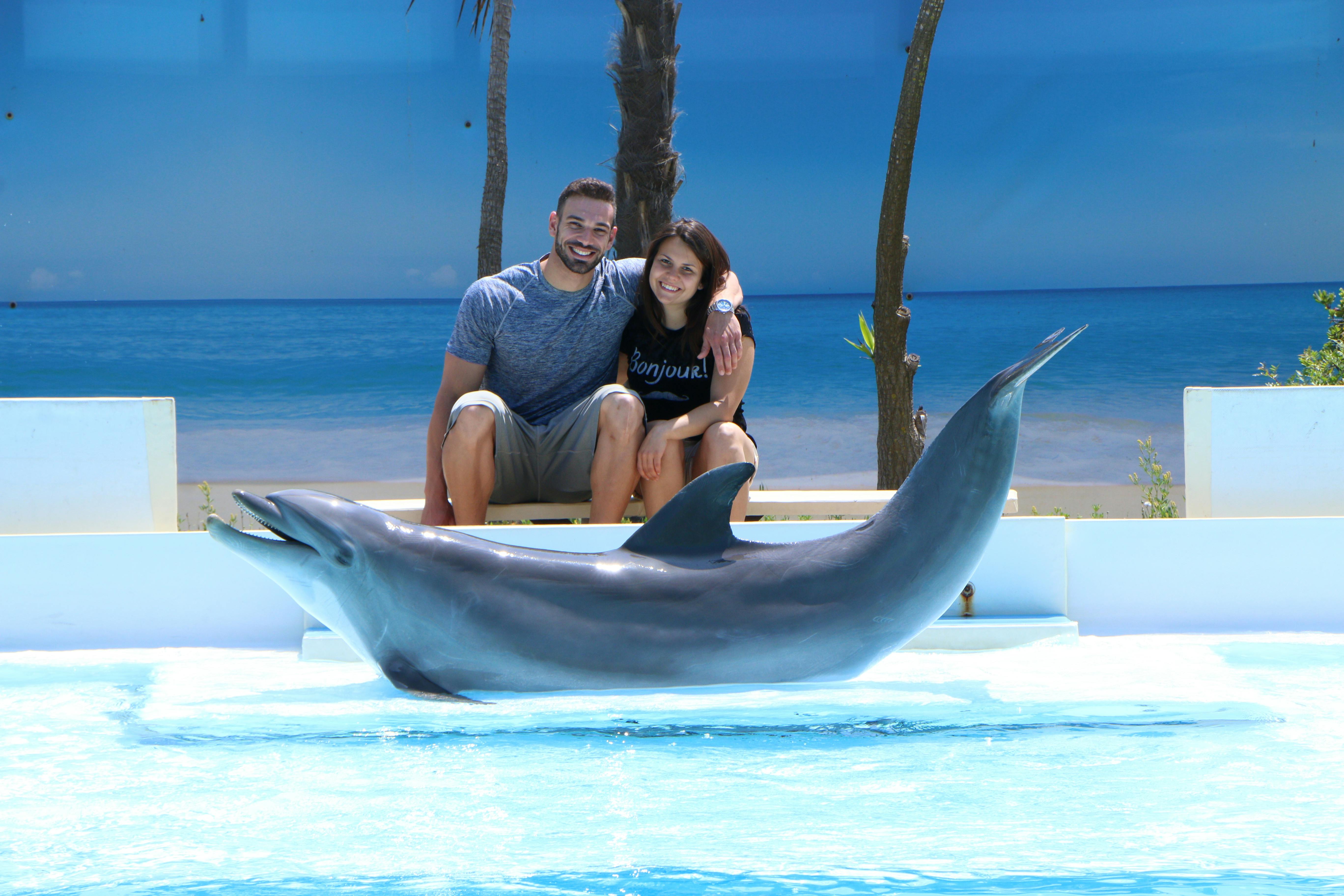 Muž a žena se usmívají, zatímco sedí na lavičce s rukama kolem sebe, vedle delfína v bazénu s pozadím pláže.