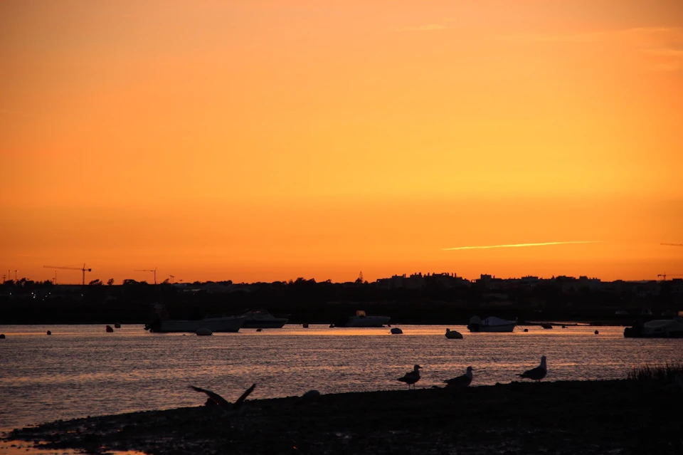 A serene sunset over a coastal area with silhouetted buildings, boats on the water, and seagulls on the shore.