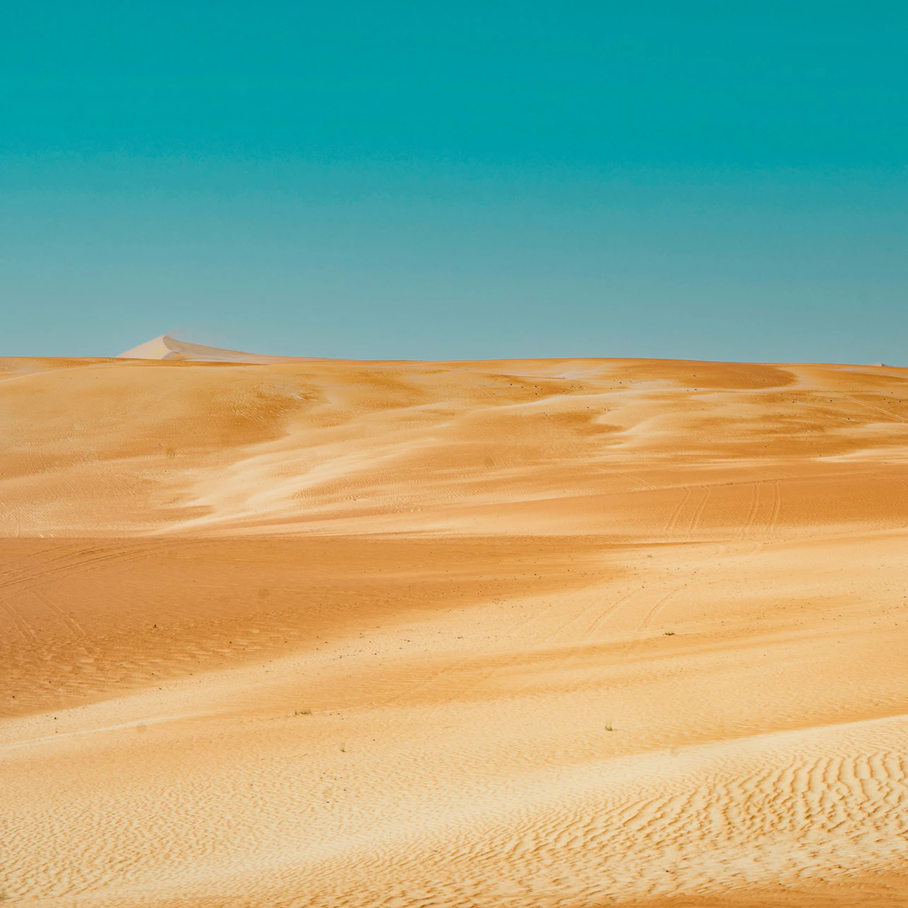 Abu Dhabi: Guided Liwa Desert Safari + Roundtrip Transfer + Lunch 5