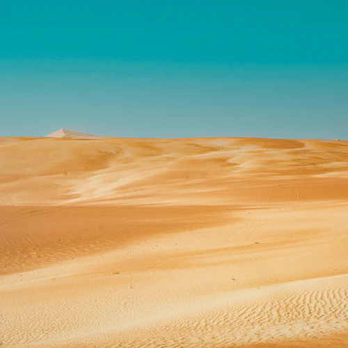 Abu Dhabi: Safári guiado no deserto de Liwa + traslado de ida e volta + almoço - Photo 5