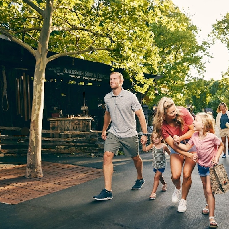 Silver Dollar City Fast Track Entry Tickets Tiqets silver-dollar-city-fast-track-entry-tickets-tiqets
